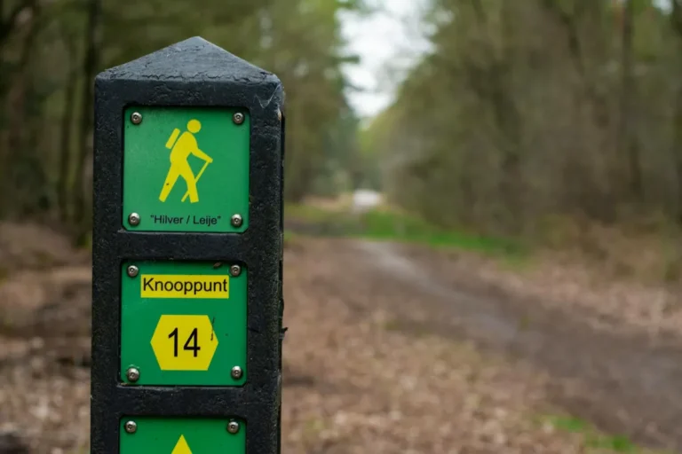 On Heritage Walking Trails, and the Quiet Reading of Place