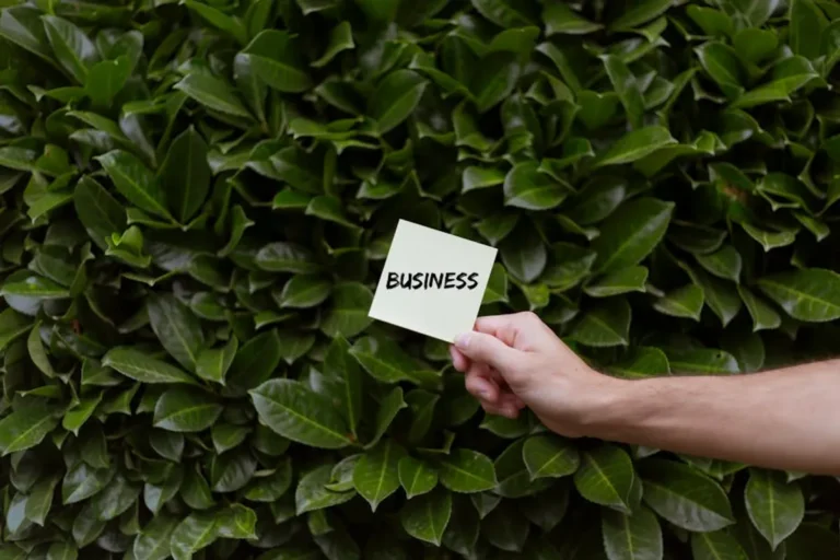 The Growing Curiosity Around technofee.com and What Readers Expect for Bunburyclub Readers